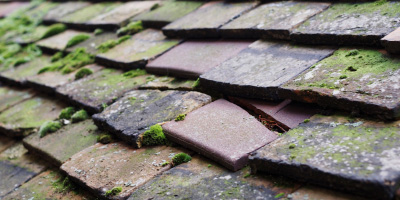 Hallaton roof repair costs